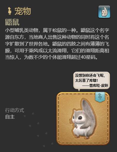 ff14鼯鼠宠物获得方法(图3)