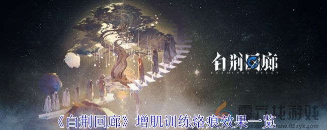 白荆回廊增肌训练烙痕效果一览(图1)