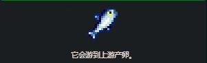 星露谷物语鲑鱼怎么收集(图1)